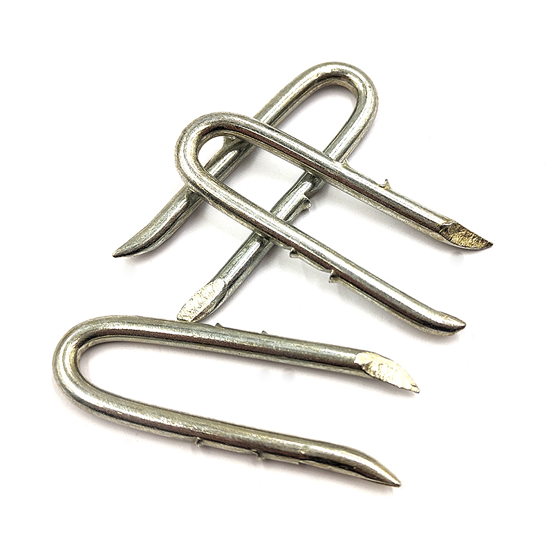HDG fence staples are professional and convenient for fixing fences barbed shank