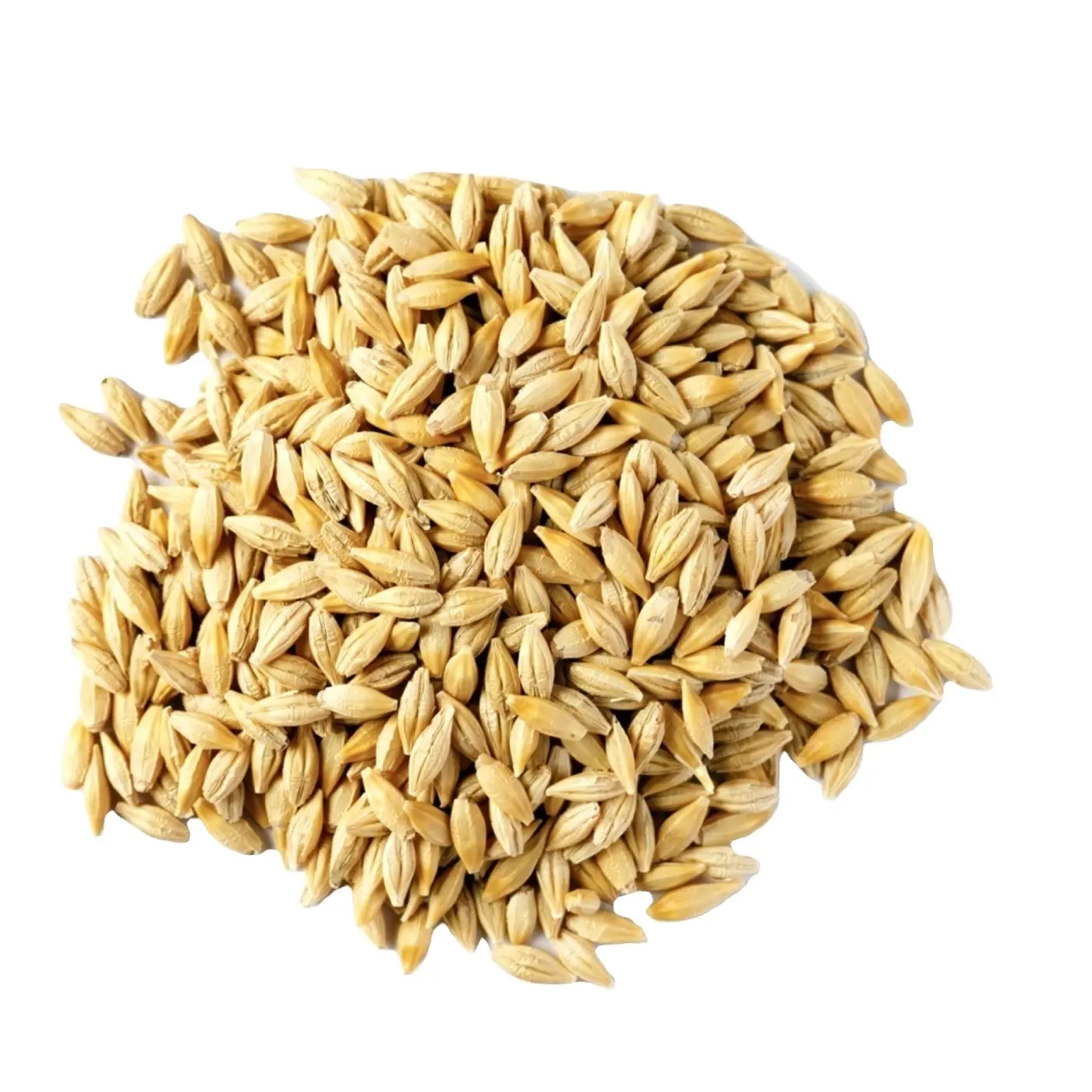 Wholesale custom private single malt Animal Feed Barley malted  50kg 25 tons 15days barley animal dried grains feed barley malt