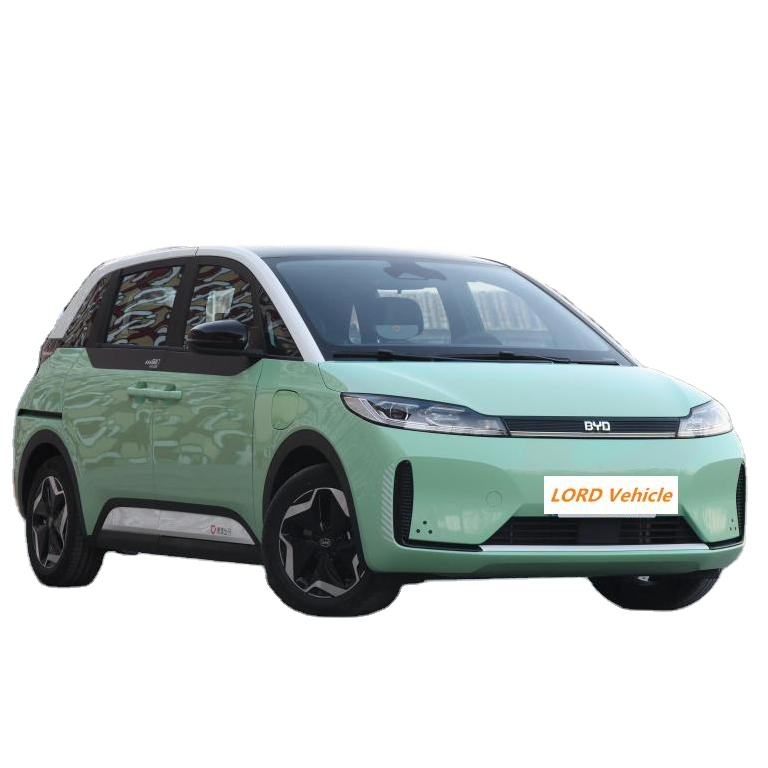 Высокоскоростной Электрический MPV дешевый автомобиль новый автомобиль большой радиус действия ev автомобиль 4 колеса 5 сидений D1