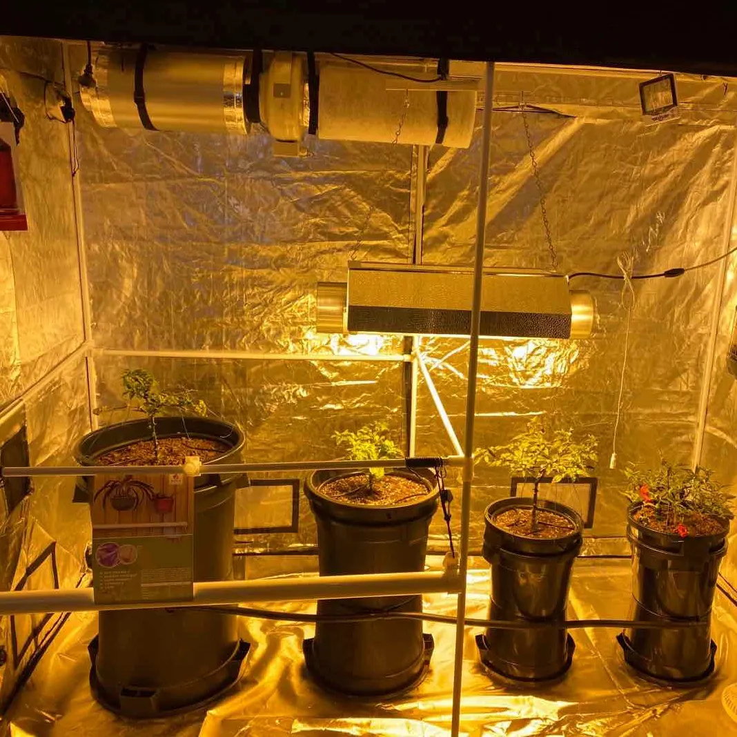Maxpower Indoor Grow Tent Kit