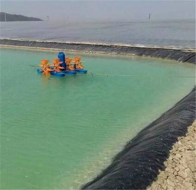 20 mil cheap hdpe pond liner for sale