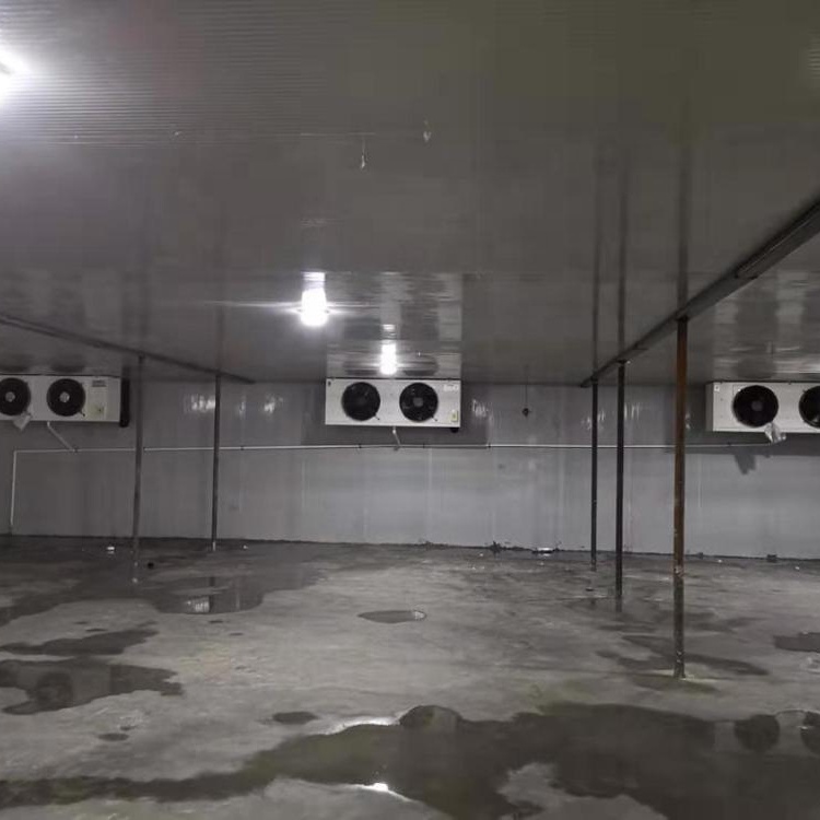 cold storage roo/freezer room/container cold room for multipurpose