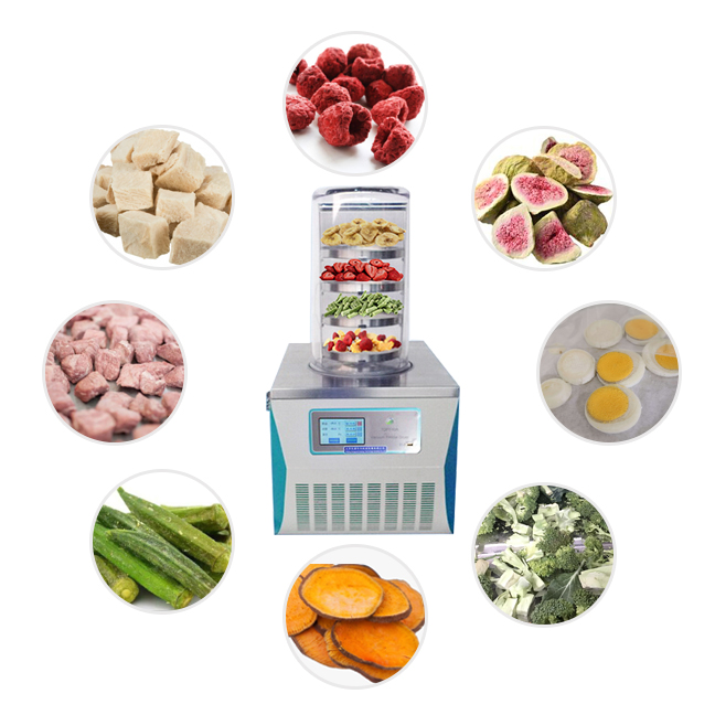 vacuum freeze dryer lyophilizer small freeze dryer home liofilizador