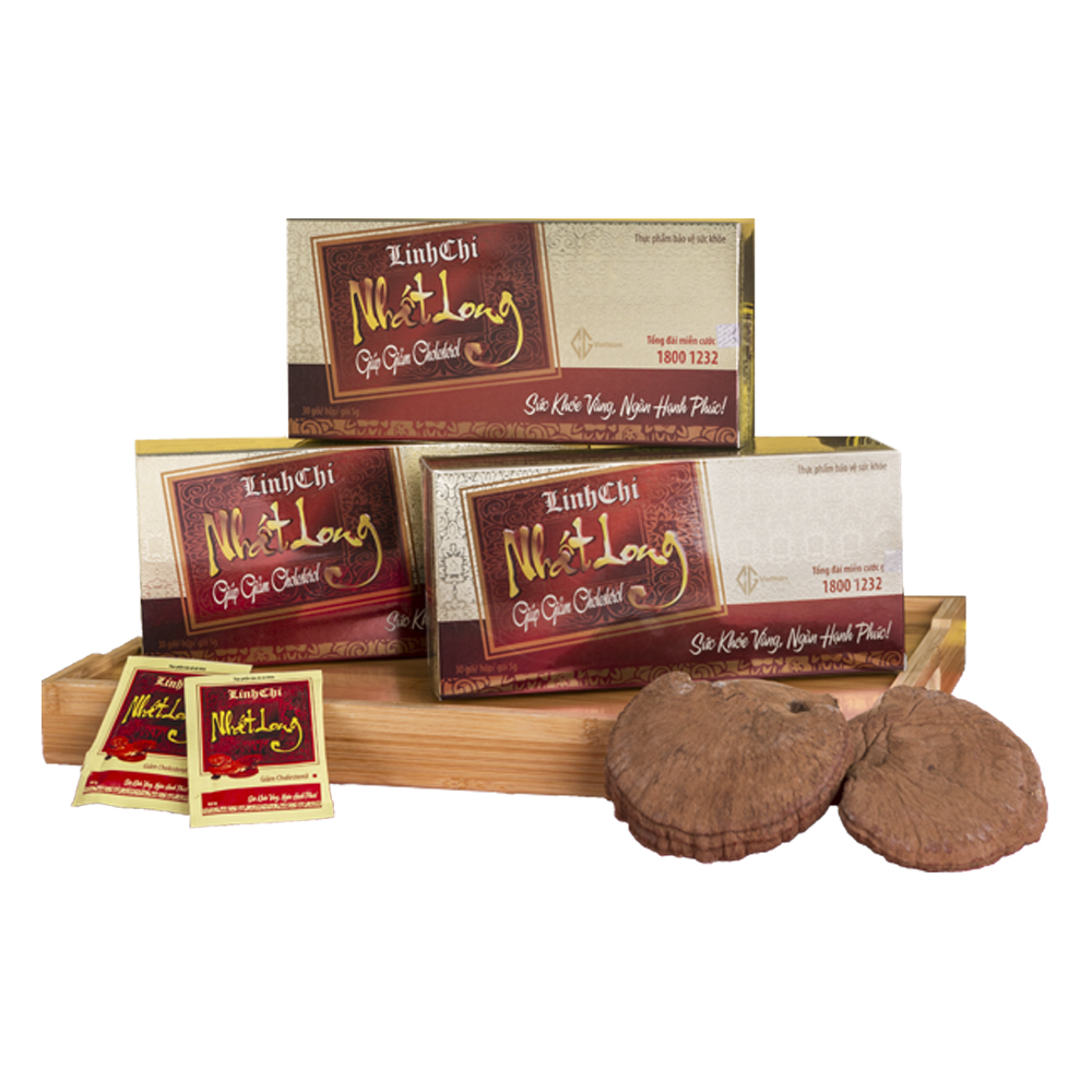 Top Quality Fruiting Body Reishi Mushroom Extract Dry Unguent Ganoderma Lucidum Tea Box 10 Packs 5 grams