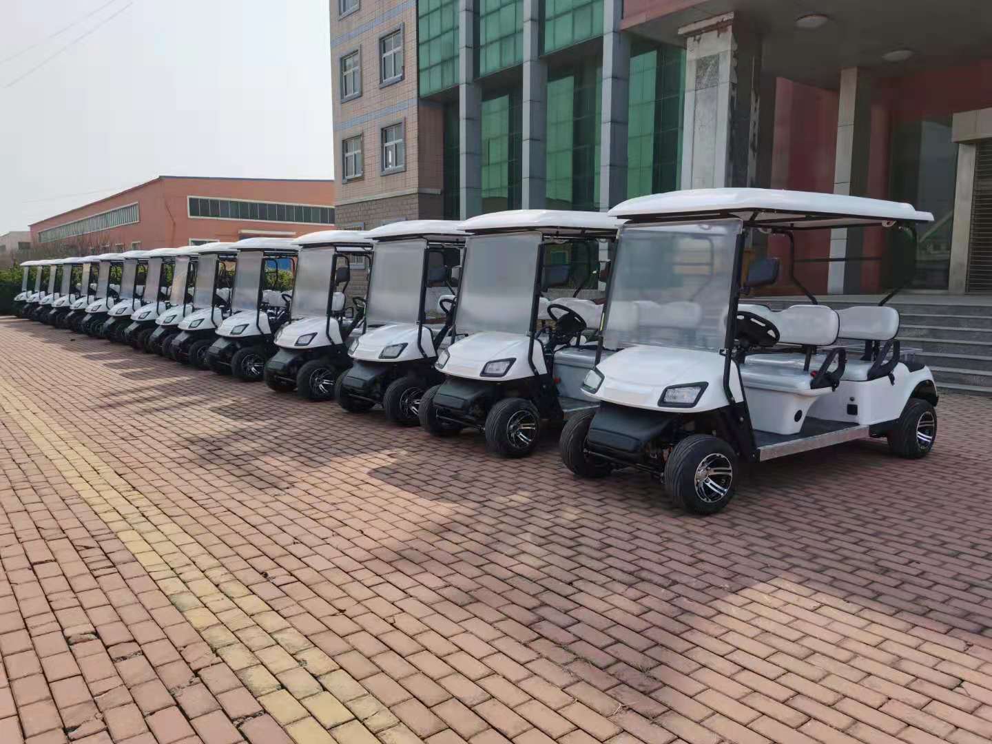 Good Quality 6 Seater Electric Golf Cart