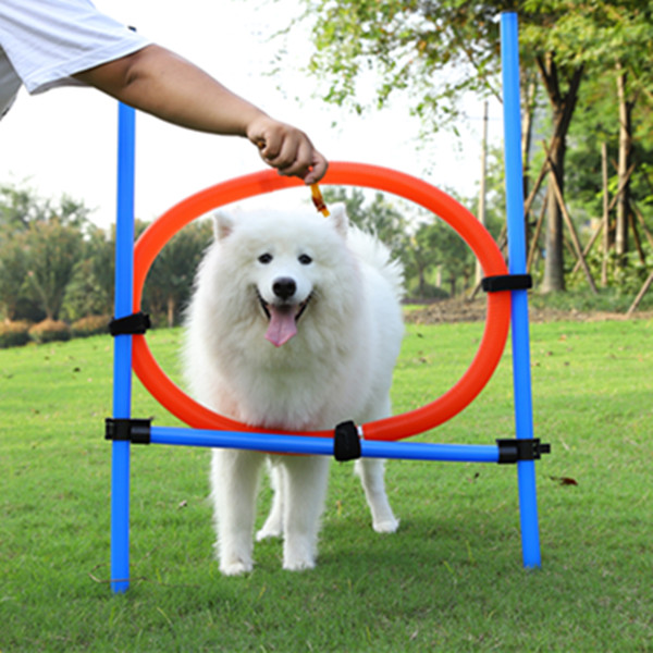 Собака DIY Спортивные Обучающие игрушки на открытом воздухе Pet интерактивная игрушка