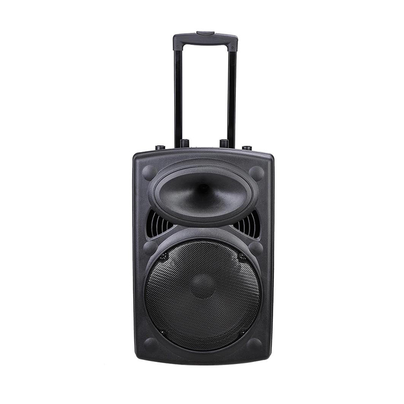 15 дюймовый портативный громкоговоритель CQA Sound с питанием от Bluotooth
