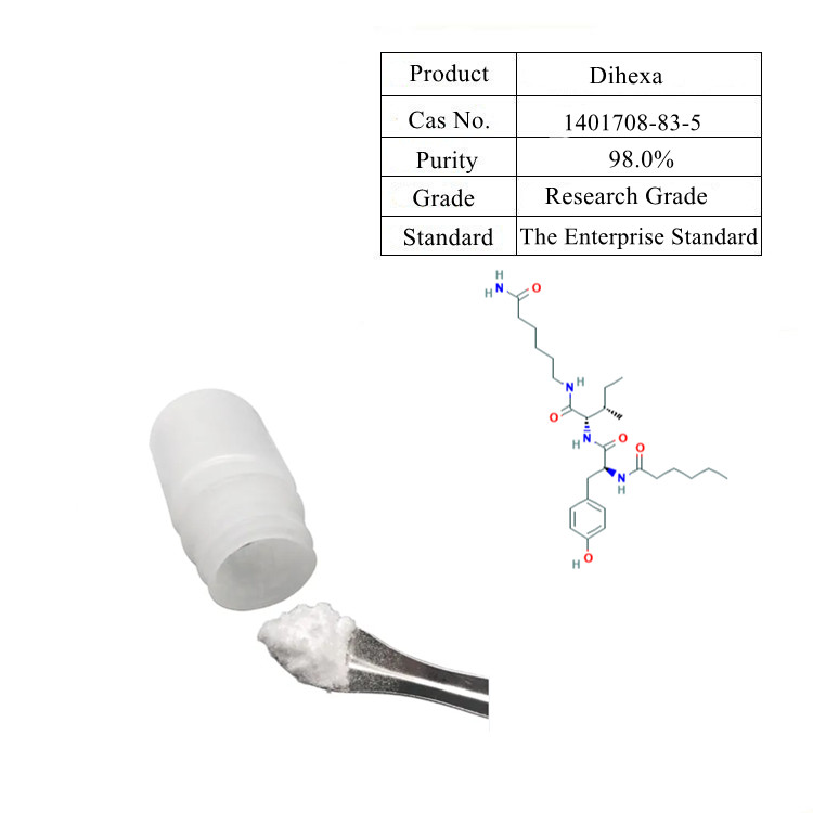 Peptide Intermediate Dihexa CAS 1401708-83-5 PNB-0408 high Purity Powder