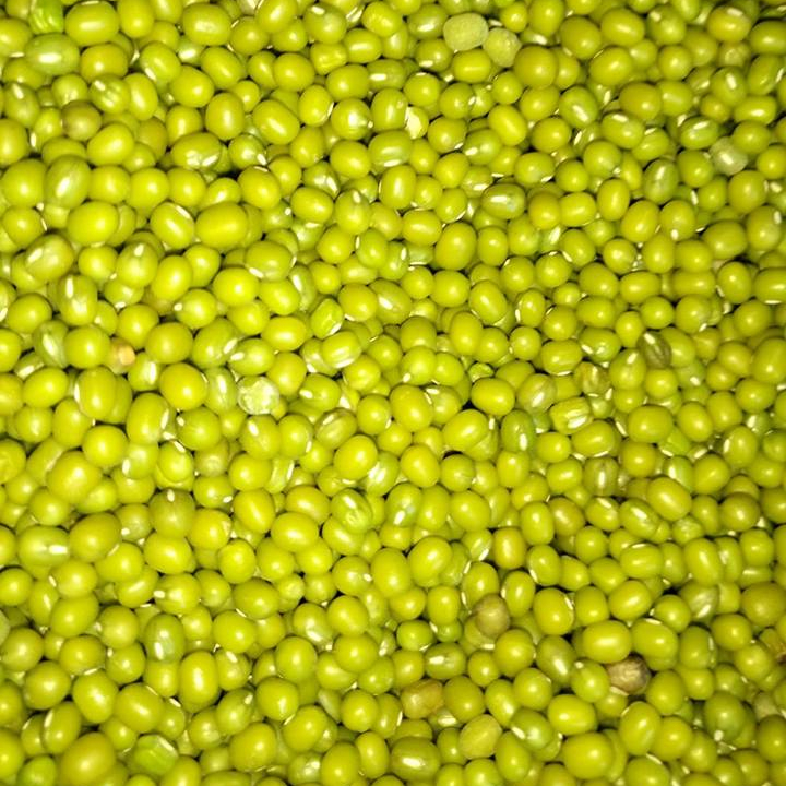 MUNG BEANS, VIGNA BEANS FOR SALE