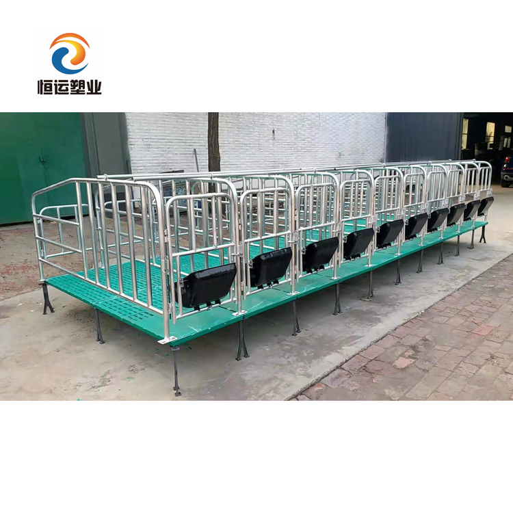Animal cage with BMC FLOOR AND PLASTIC SLATTED FLOOR pig crate farm design equipment sow gestation pen