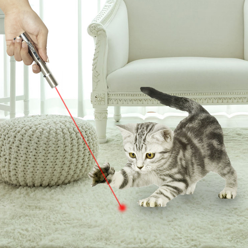 Funny Buy Electric Laser Stainless USB Pointer Multi Exerciser Tease Cat Toys Pen