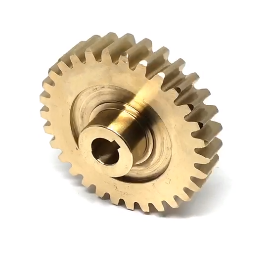 High Precision ODM Custom Worm Gears for Worm Gearbox