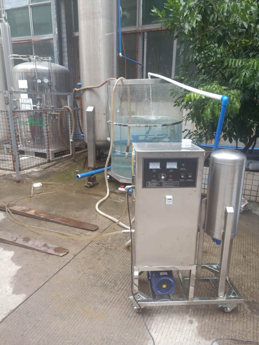 20g/h Ozonated Water Machine Agriculture Irrigation Water Treatment Ozonator