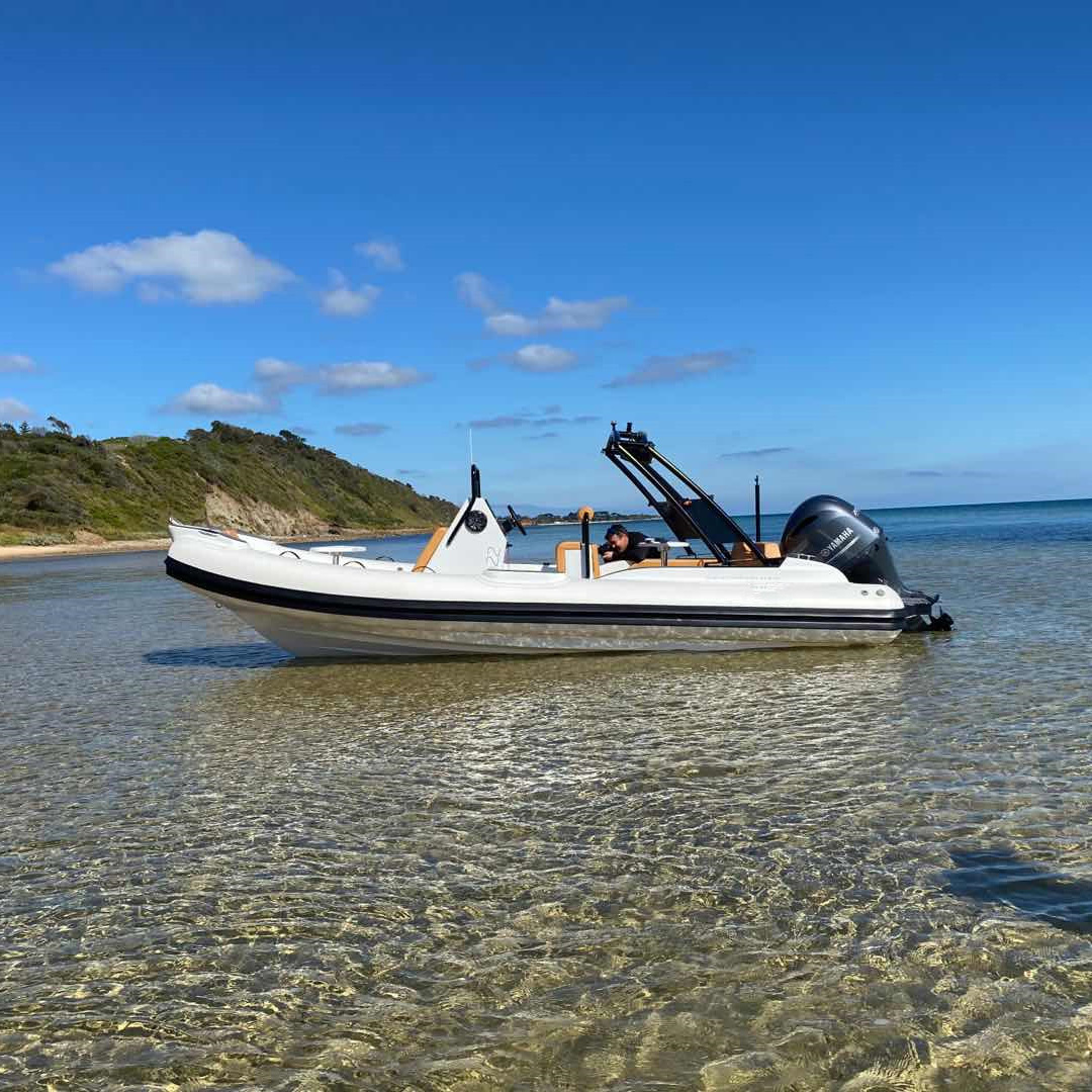 Liya 22 фута Роскошные rib лодки надувная лодка с жестким корпусом