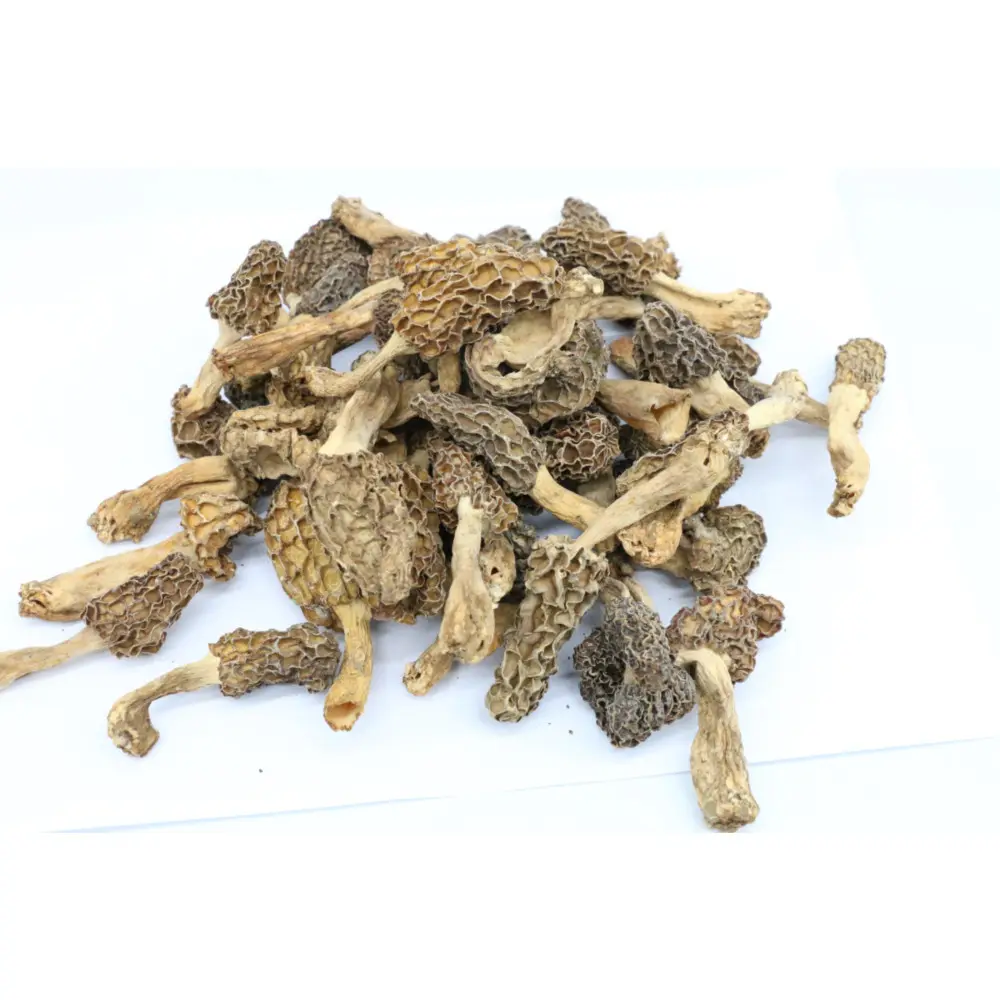 Origin Mushroom From China Morel Style In Bulk Sales Dried Morchella Esculenta Cultivation Supply