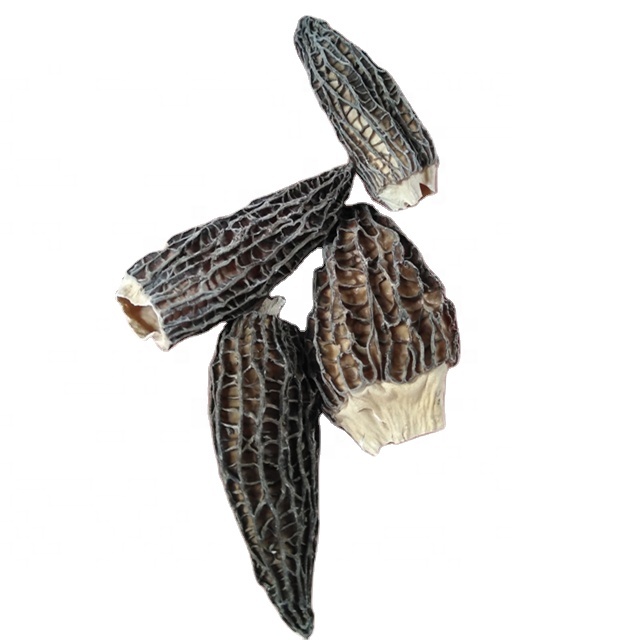Wild Cultivated Morchella Conica Price of Black Dried Morel Mushrooms for Sale