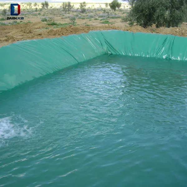 2mm Environmental Smooth Plastic Fish Pond Hdpe Geomembrane