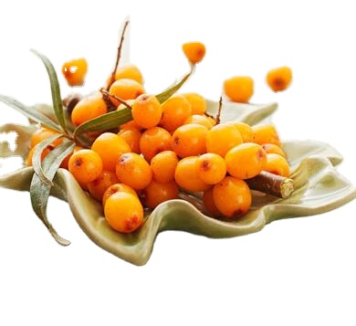Best selling products natural organic sea buckthorn fruit juice powder