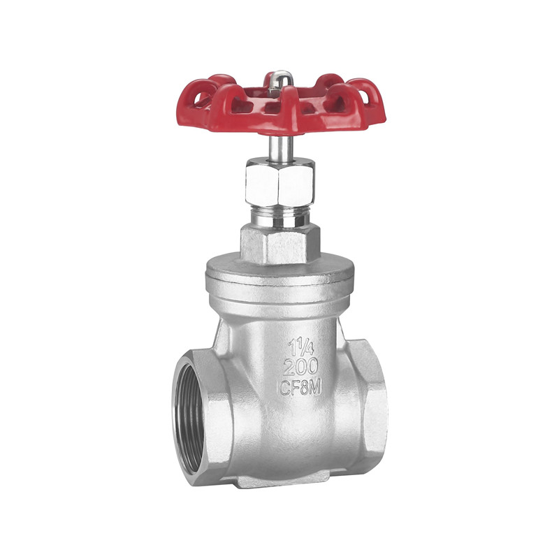 Manufacture Brand Pn16 Dn20 Screw End 201 Stainless Steel 3/4 Inch Cf8 Gate Valve