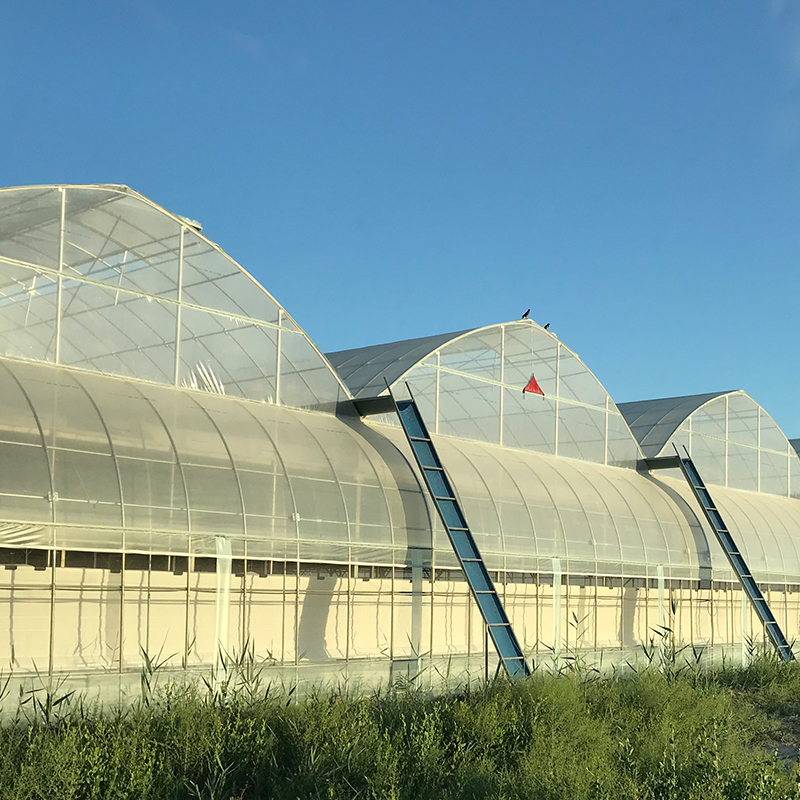 High efficient modern galvanized steel frame film greenhouse