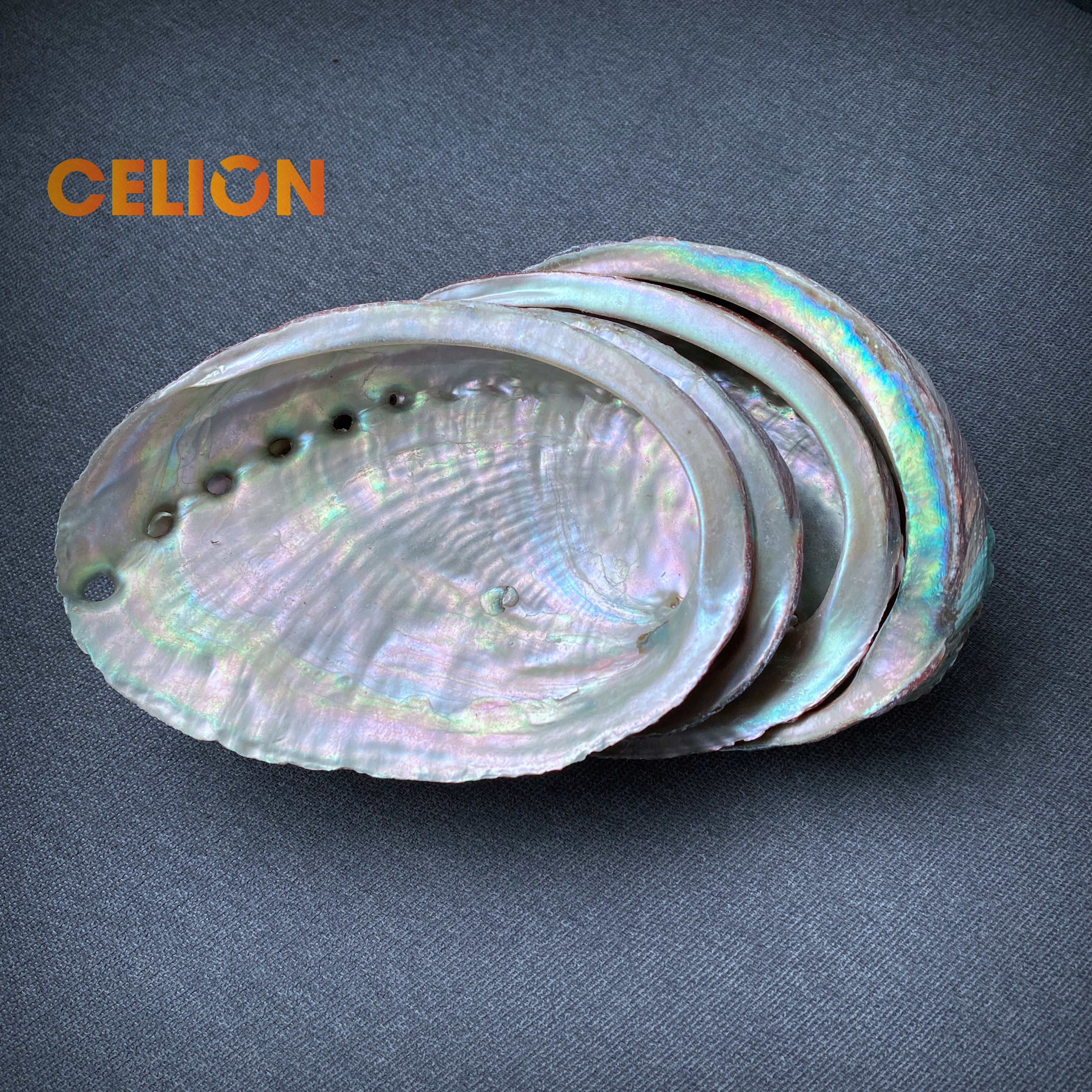 CELION Фабрика оптовая продажа натуральные материалы 4 дюйма ушка оболочек для растушевки чаша