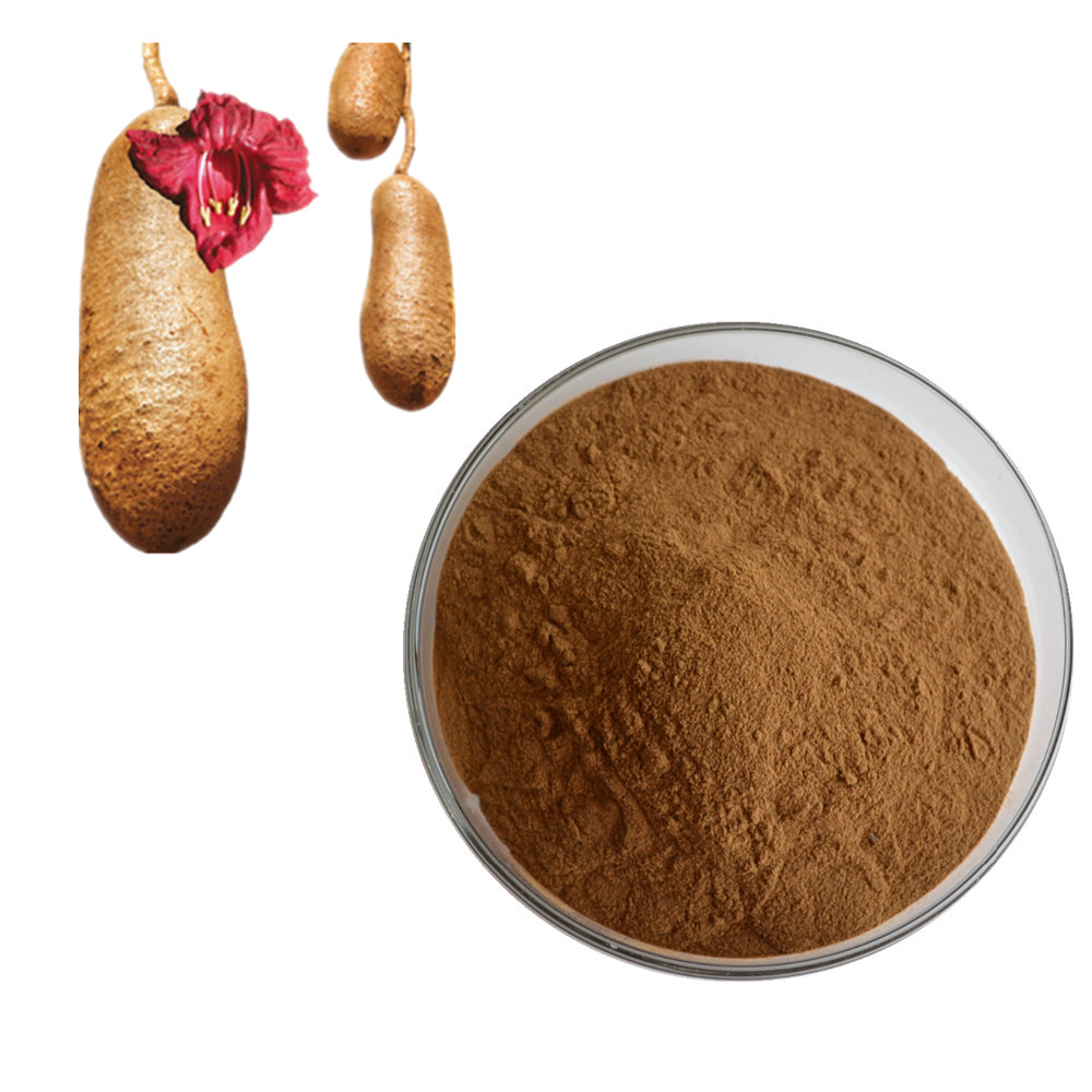 100% natural kigelia africana powder/ kigelia africana fruit extract/ kigelia africana root extract for health care
