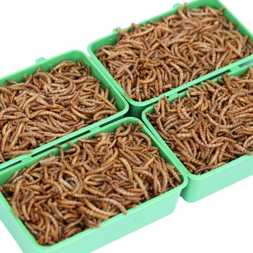 wholesale full stock pet food factory dried mealworms bird feed small animal food