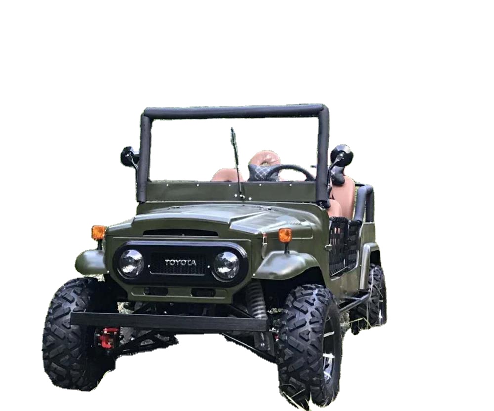2500 Вт 3000 Вт Электрический ATV UTV взрослый ATV