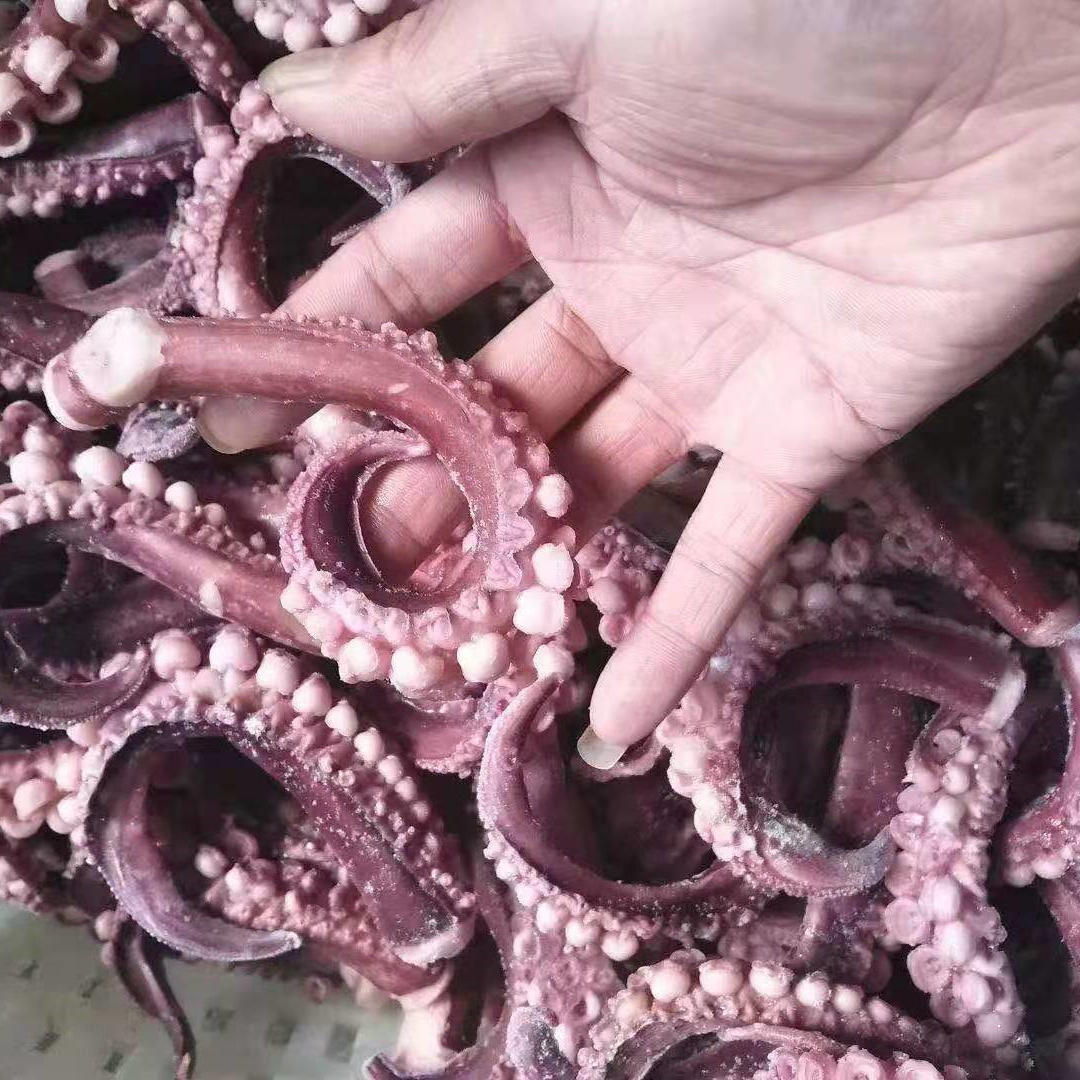 Хит продаж, экспортные сушеные морепродукты, замороженные игральные кости lолиго каламара, Каламар, перуанские щупальца кальмара