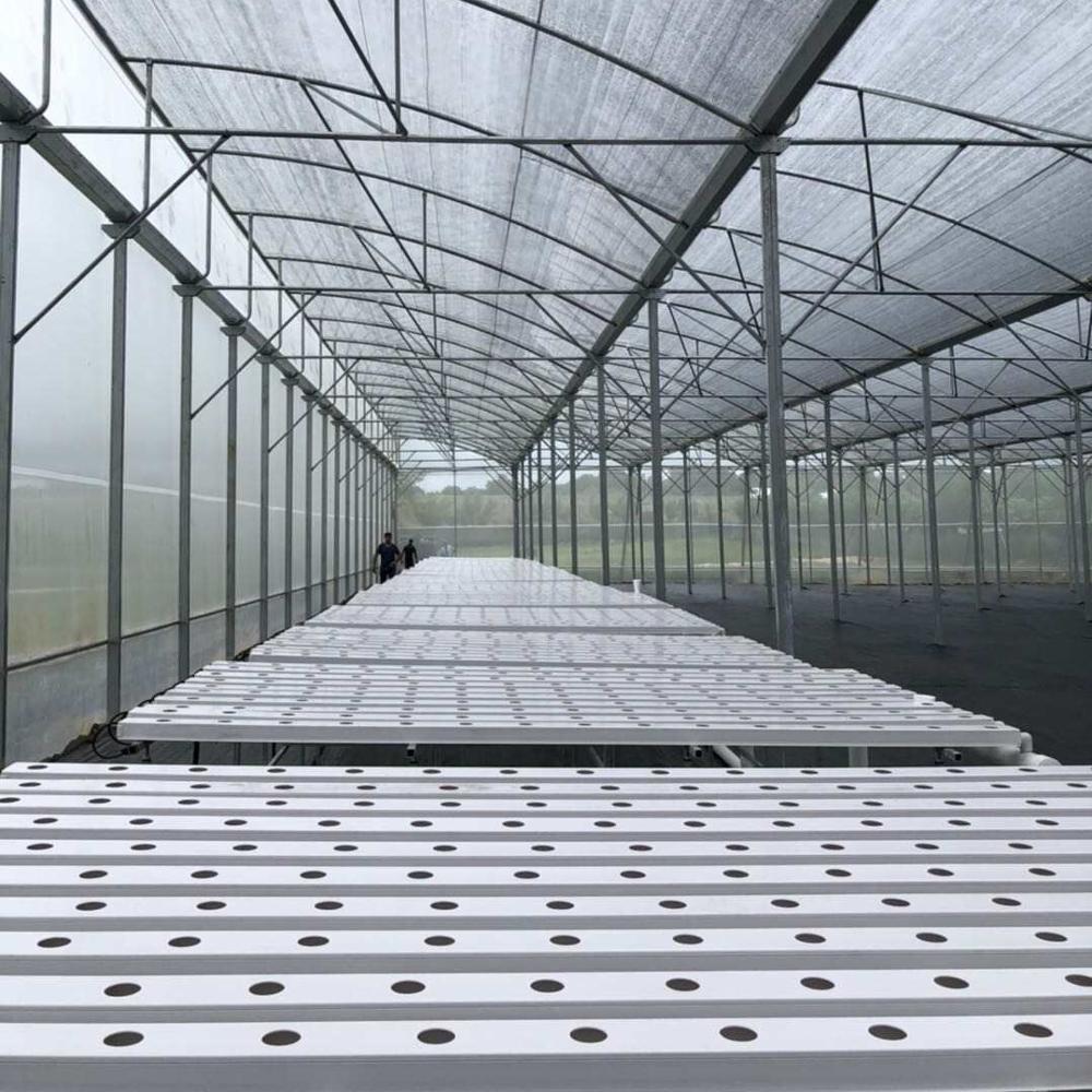 Hot sale glass panel greenhouse with NFT and DWC hydroponic grow system