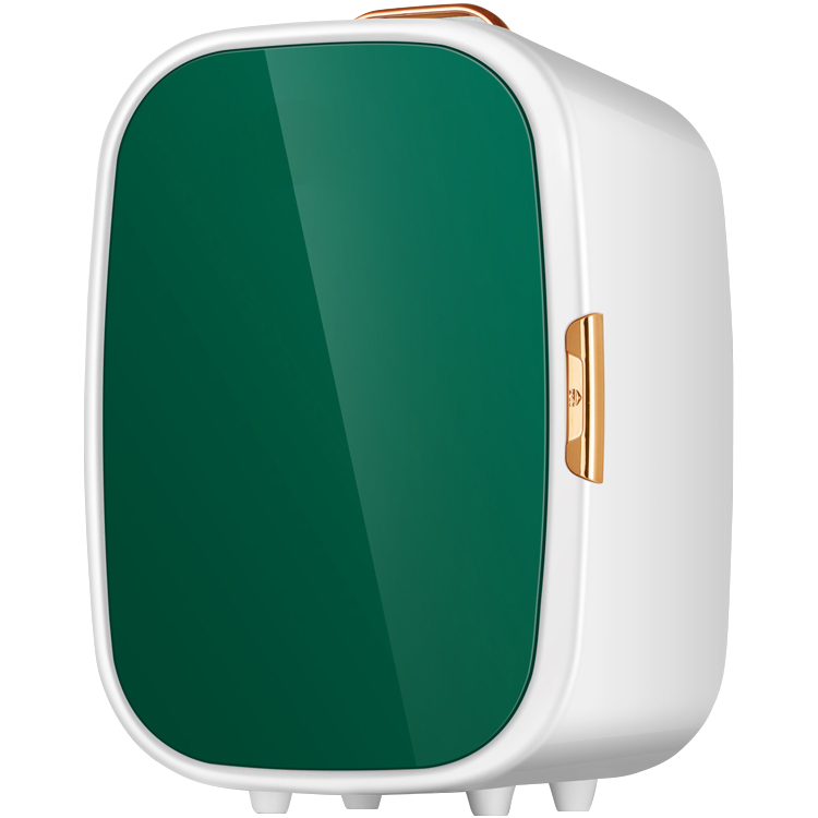 Dual Purpose 12V 20L Skincare Refrigerator Beauty Mini Fridge for Cosmetics