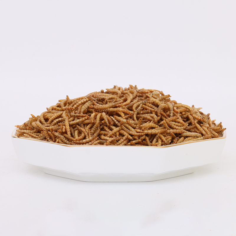 Insects yellow mealworm pet snacks black water fly larva dried mealworm