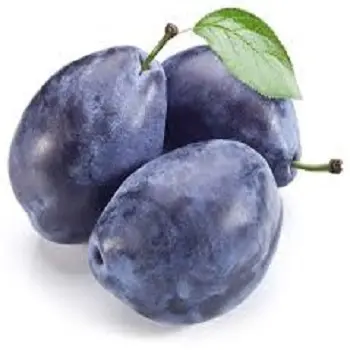 Top Grade Fresh Plums For Sale