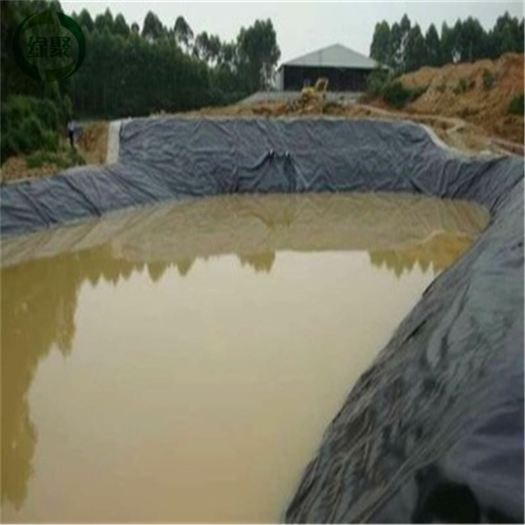 Цена по прейскуранту завода композитный полиэтилен геомембрана Biofloc Fish Farm Tank Hdpe геомембрана Пруд Лайнер