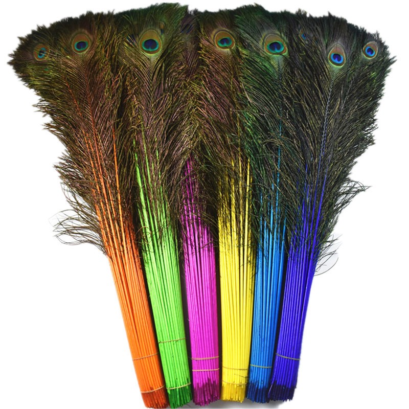 dyed 110cm peacock feathers for sale
