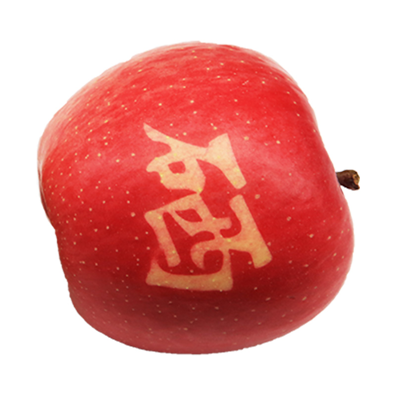 Цена оптовая Fuji китайский свежий красный Fuji Apple