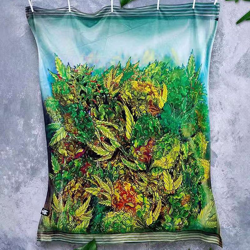 Wholesale the latest high quality cotton jacquard beach towel 150*150cm