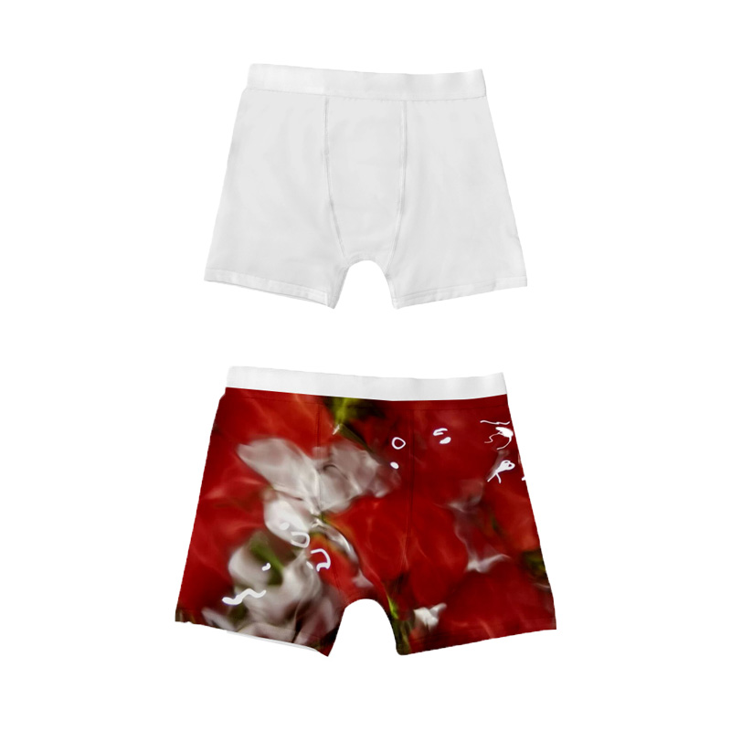 Оптовая продажа, мужские короткие трусы-боксеры ethika sublimation