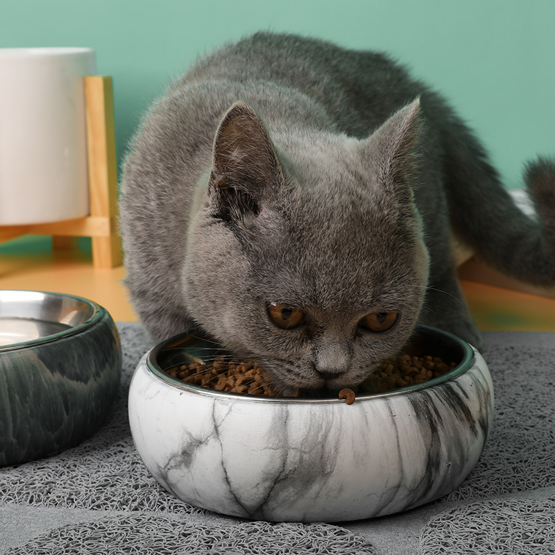 Собачья Миска из нержавеющей стали cat заказной пищевая миска