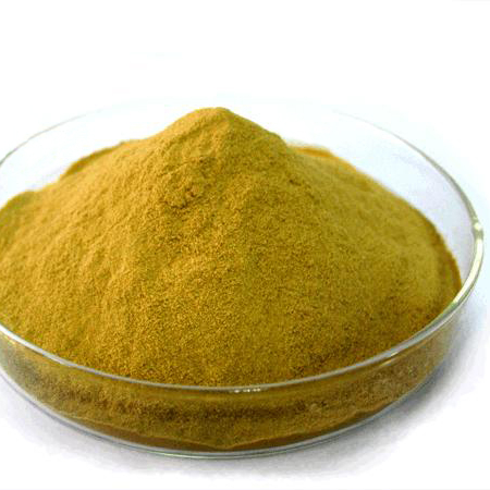 Saccharomyces cerevisiae Пивовары Дрожжи гидролизат как кормовые дрожжи порошок