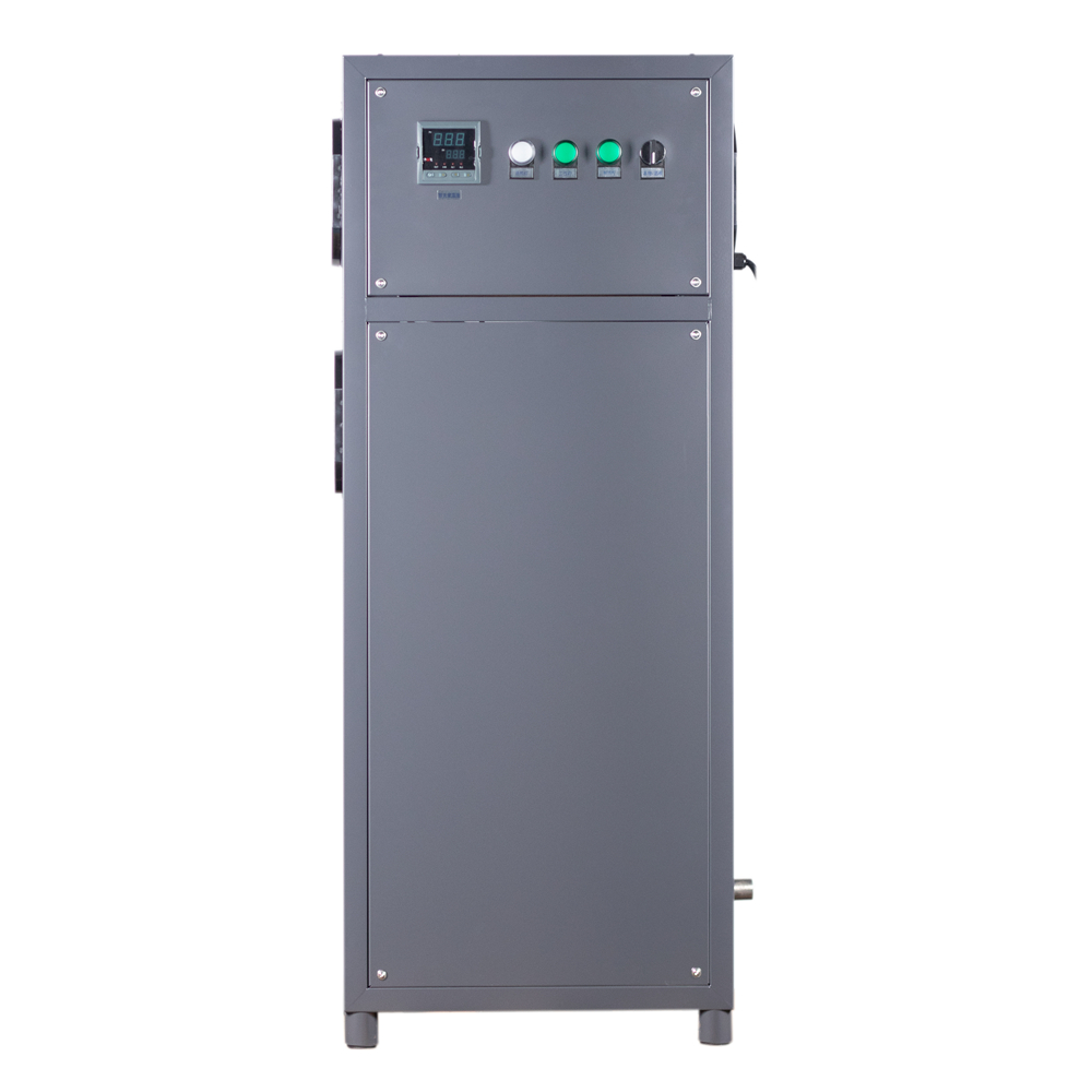 BNP DRS-1000 100нм 3/ч озоновое разрушительное устройство озоновое выхлопное разрушительное устройство озоновое разрушающее устройство для контроля за газом