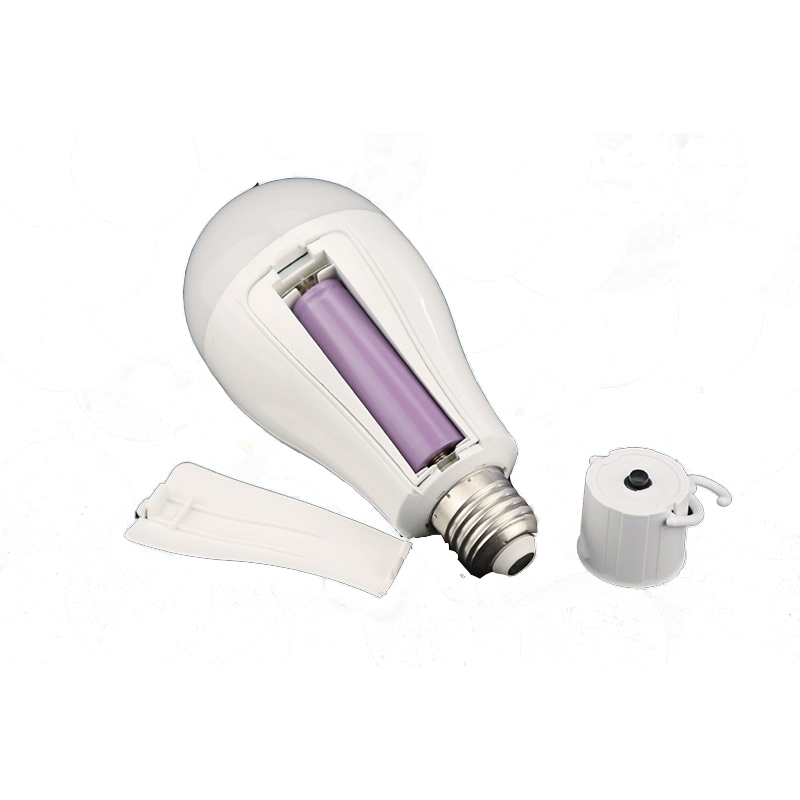 Factory Wholesale Emergency Camping Home Lamp Led Charging Light Bulbs Rechargeable Led Bulb Lights Luminous Power Battery Chip