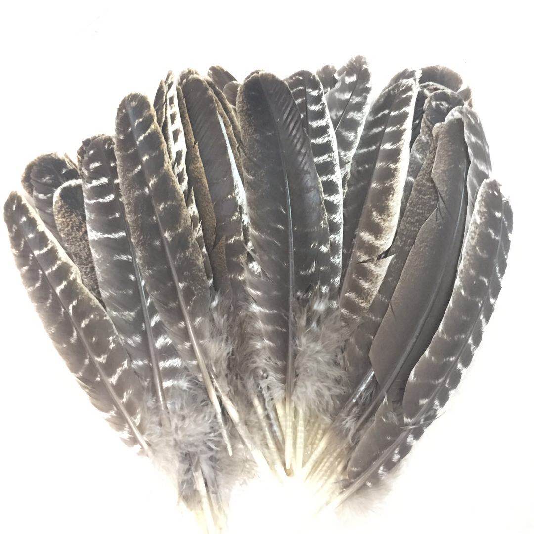 Spot wholesale High Quality Feather diy turkey feather 15-30cm natural turkey feather