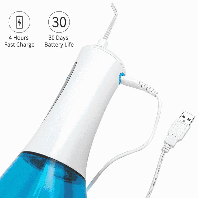 Waterproof Tooth care Electric Dental Water Pick Teeth Cleaner Water Flosser Oral Irrigator