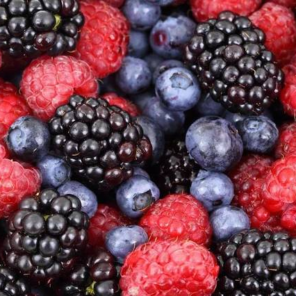 Wholesales IQF Mixed Berries Mix Fruit Strawberry Raspberry Blackberry Blueberry