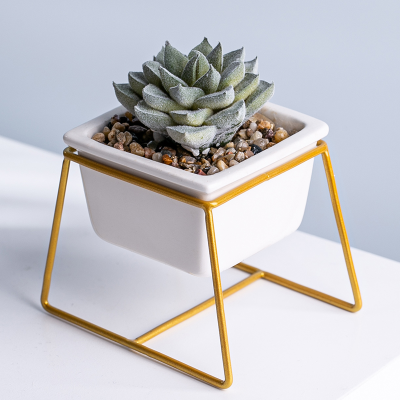 Elegant White Ceramic Plant Pots With Metal Stand For Decorative Succulent Pot With Plant