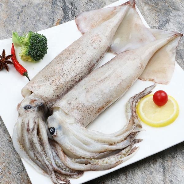 Новая Зеландия, кальмар, замороженные морепродукты без замачивания, индонезийские импортеры Индийского океана, тодоры, импортеры, поставки сырья 150 г