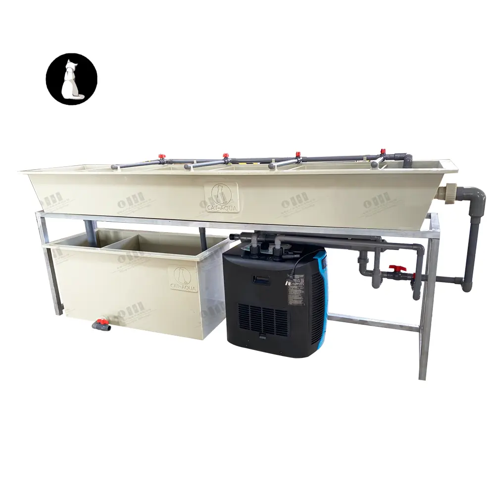 Automatic Bed Type High Hatching Rate Trout Farming Equipment Commercial Fish Hatchery Equipment for Sale