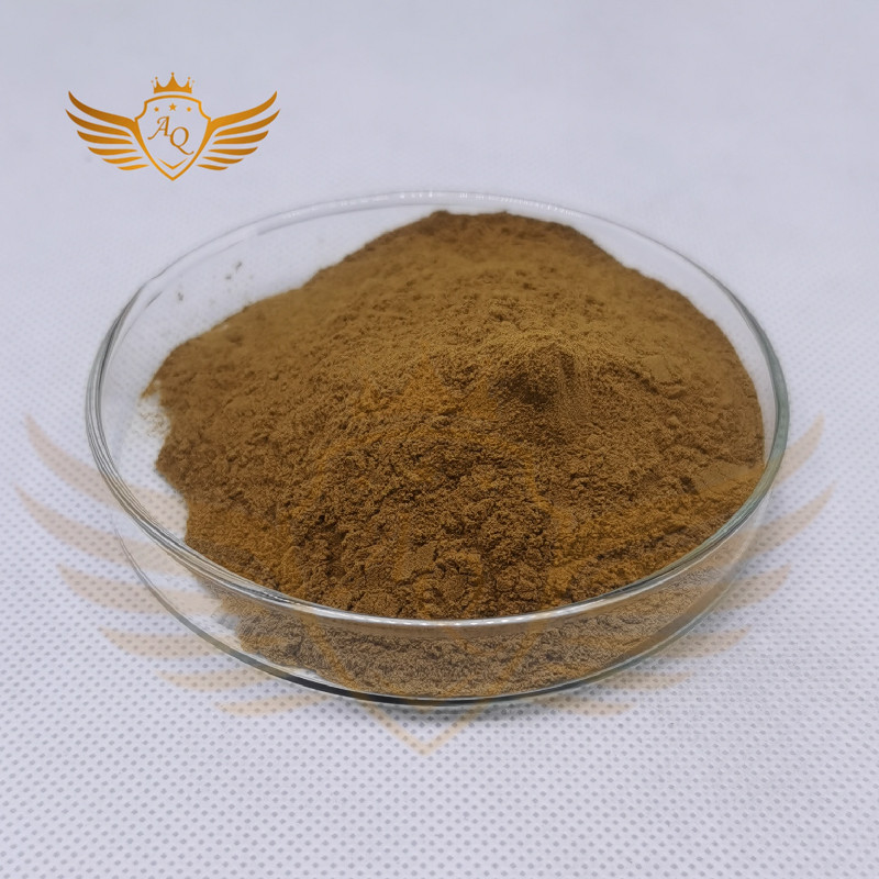 Best Price garlic extract powder capsule garlic extract Garlic Extract