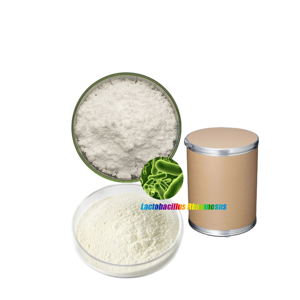 customized Freeze dried powder of probiotics of Lactobacillus Lacticaseibacillus rhamnosus for Health Care good additive